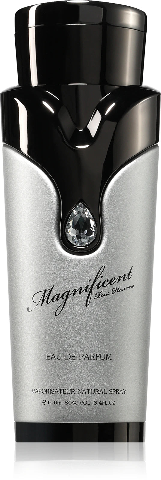 Armaf Magnificent Pour Homme EDP