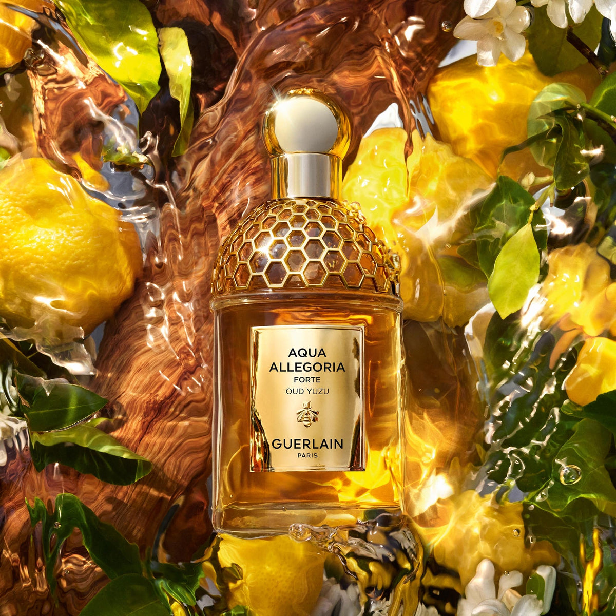 Guerlain Aqua Allegoria Forte Oud Yuzu EDP