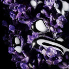 Saint Laurent Libre Absolu Platine EDP парфюмна вода за жени, флакон с елегантен дизайн и златисти акценти.