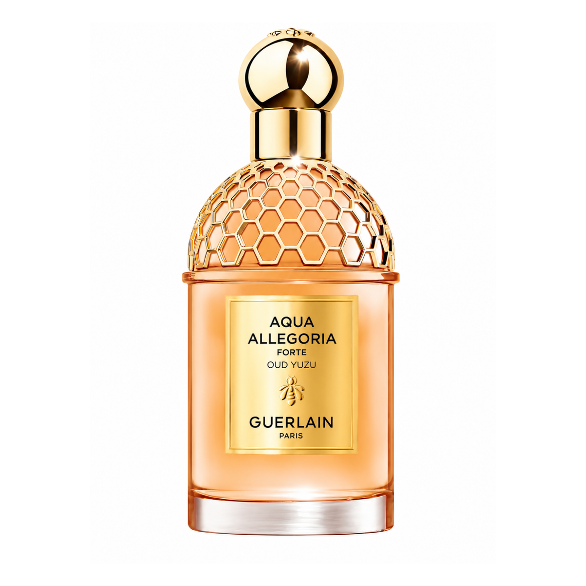 Guerlain Aqua Allegoria Forte Oud Yuzu EDP