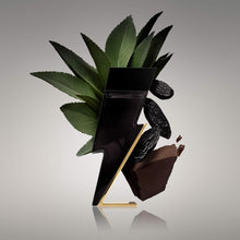 Carolina Herrera Bad Boy
