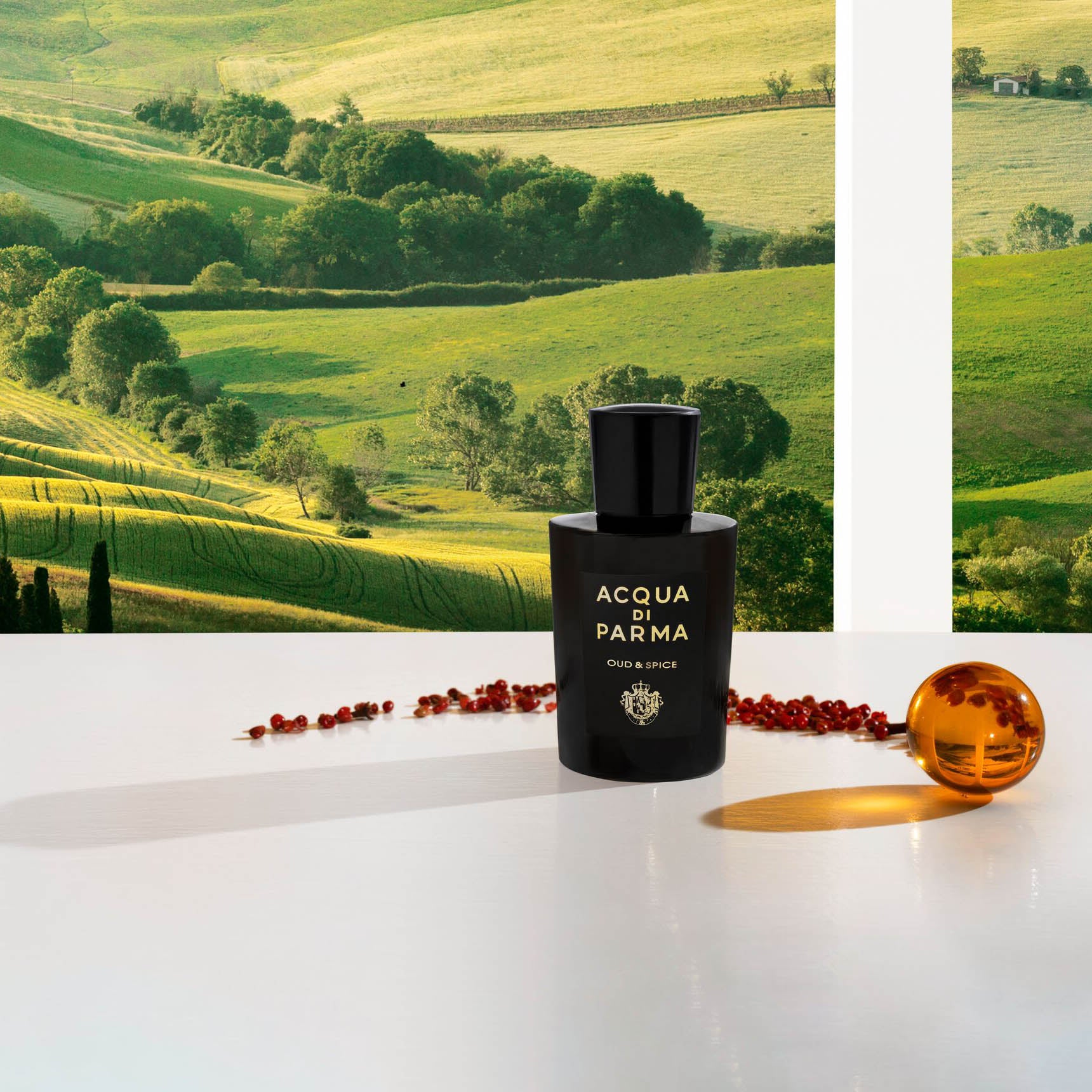 Мъжки парфюм Acqua di Parma Oud & Spice EDP, флакон с елегантен дизайн, аромат с дървесни и подправкови нотки