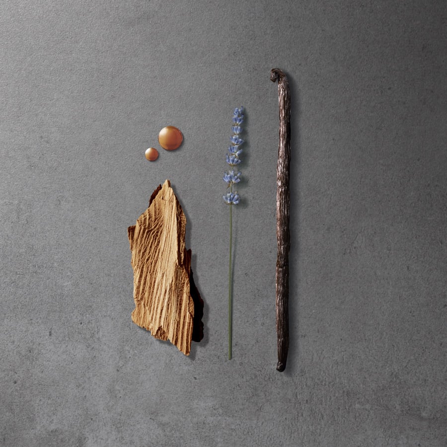 Stronger With You Absolutely Eau De Parfum