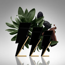 Carolina Herrera Bad Boy