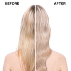 Шампоан за руса коса Alfaparf Milano Semi Di Lino Blonde Intense Anti-Yellow, предпазващ от жълти оттенъци, с кехлибарен цвят.