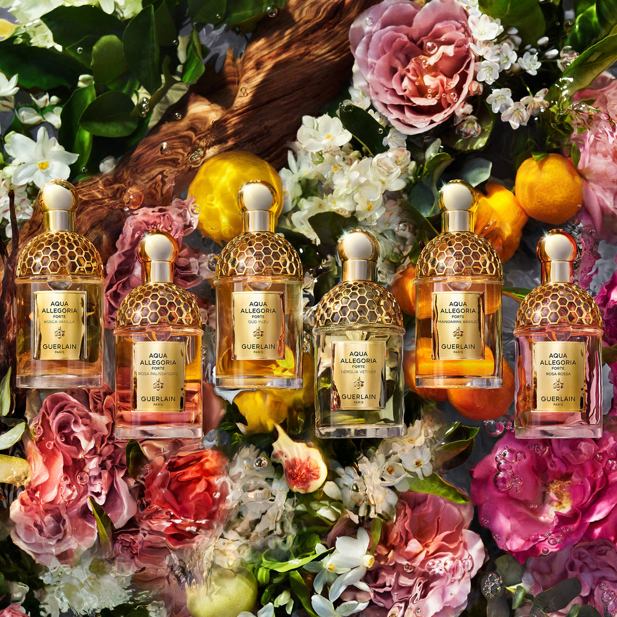 Guerlain Aqua Allegoria Bosca Vanilla Forte EDP