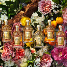 Guerlain Aqua Allegoria Bosca Vanilla Forte EDP