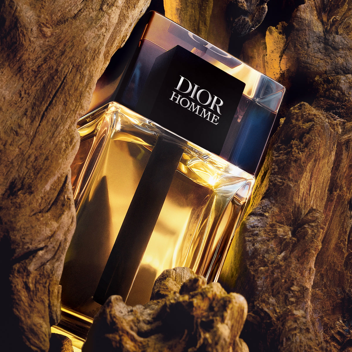 Dior Homme 2020 тоалетна вода, мъжки аромат