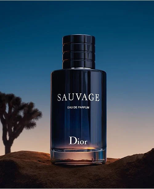 Дюш Суваж ЕДП мъжки парфюмна вода от DIOR, 100 мл бутилка, елегантна и стилна за мъже с изискан аромат.
