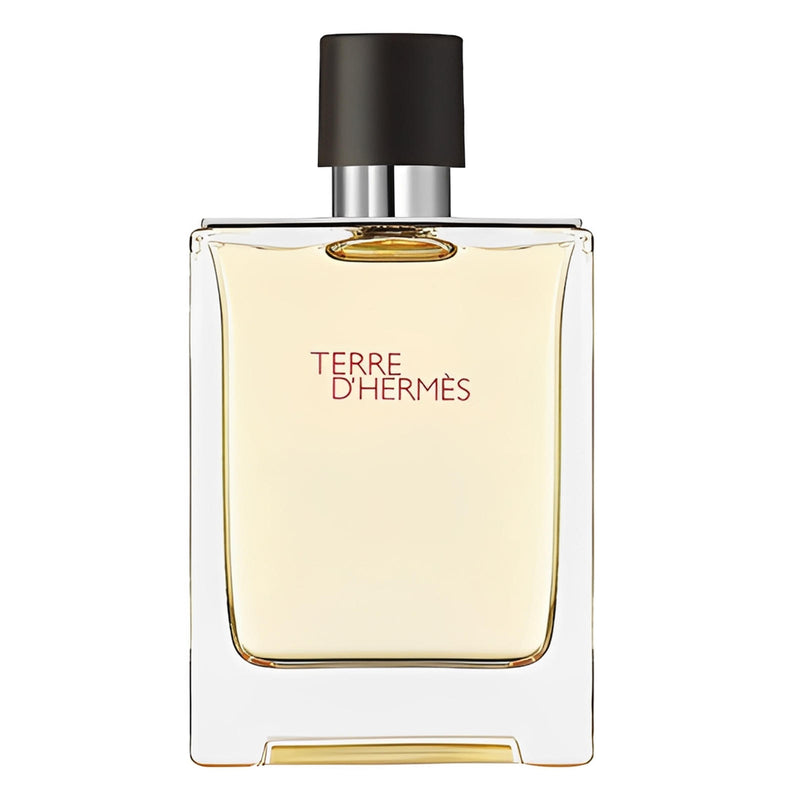 Тоалетна вода за мъже Hermes Terre D'Hermes EDT спрей 100 мл, елегантен флакон с аромат за мъже
