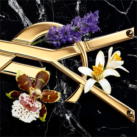 YSL Libre Intense