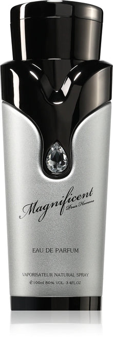 Armaf Magnificent Pour Homme EDP