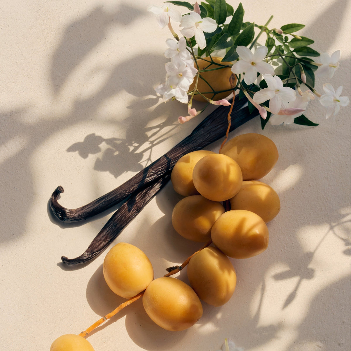 Chloé Nomade Jasmin Naturel Intense парфюмна вода за жени