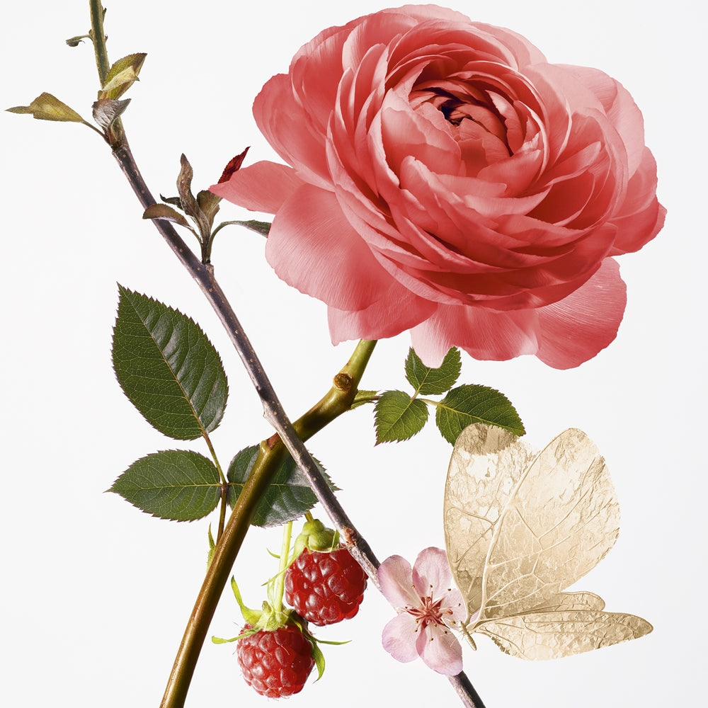 Annick Goutal Rose Pompon EDP, дамска парфюмна вода 100 мл