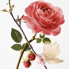 Annick Goutal Rose Pompon EDP, дамска парфюмна вода 100 мл